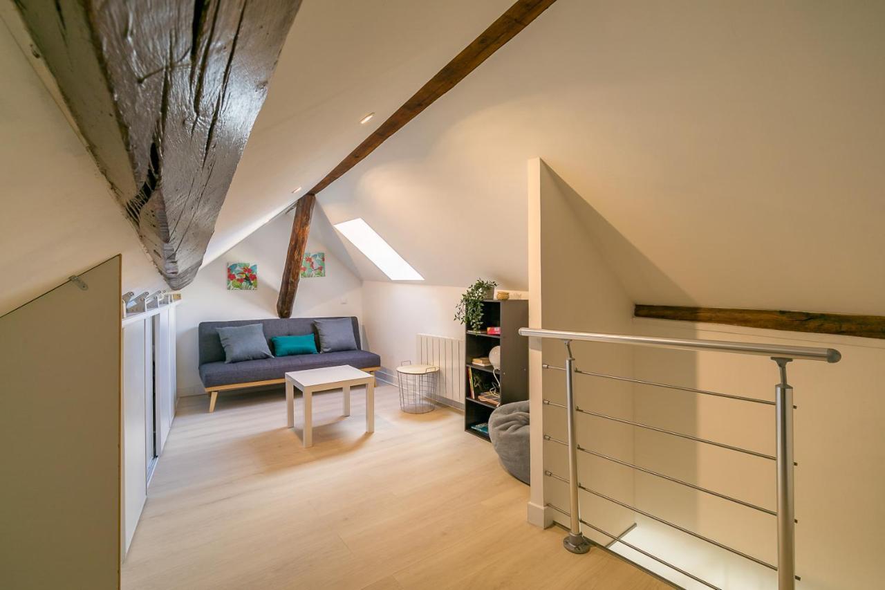 Le Godrans, En Plein Centre Ville De Dijon Exterior foto